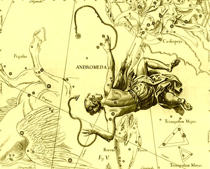 el ascenso de andromeda1