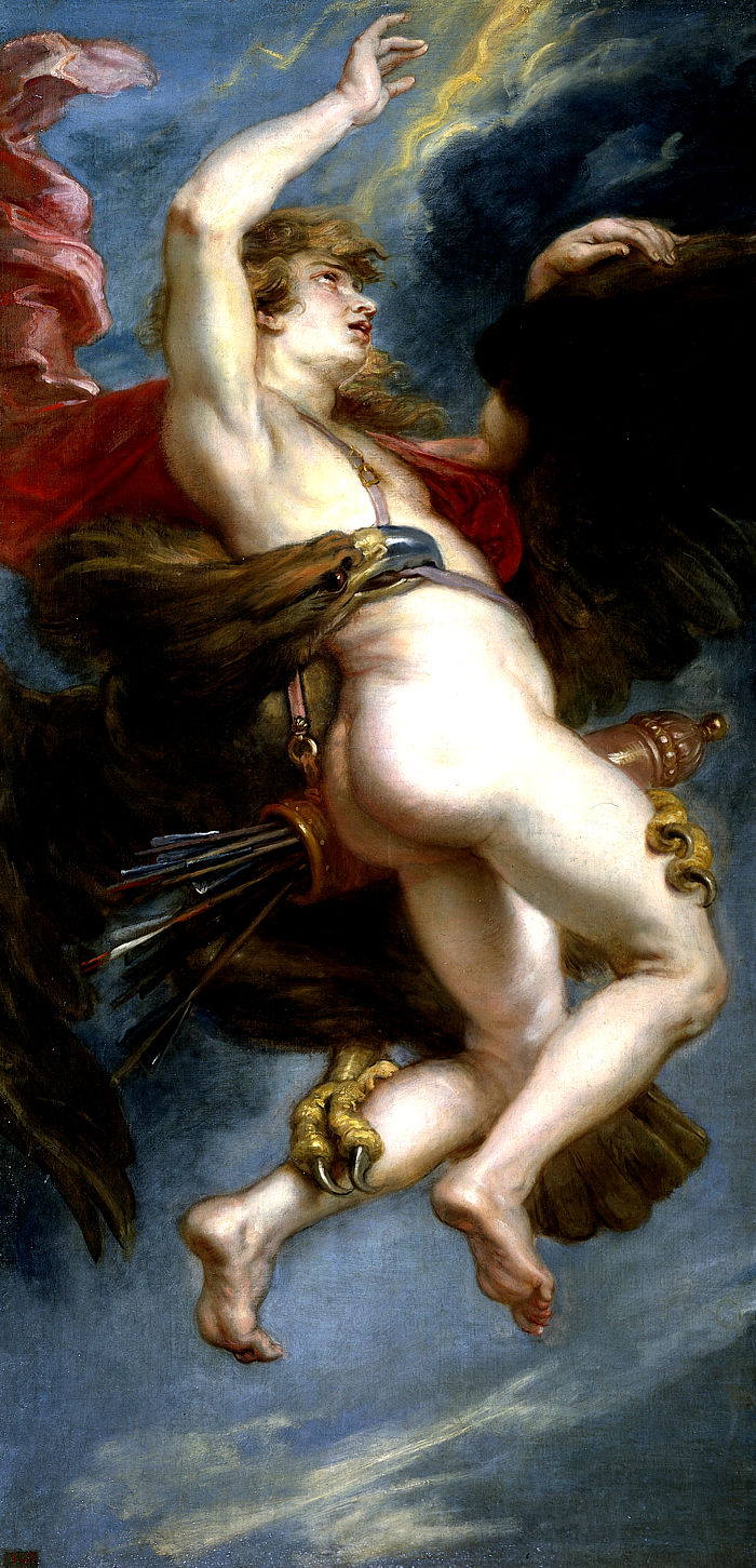 ganimedes rubens4