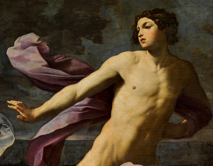 hipomenes atalanta reni2