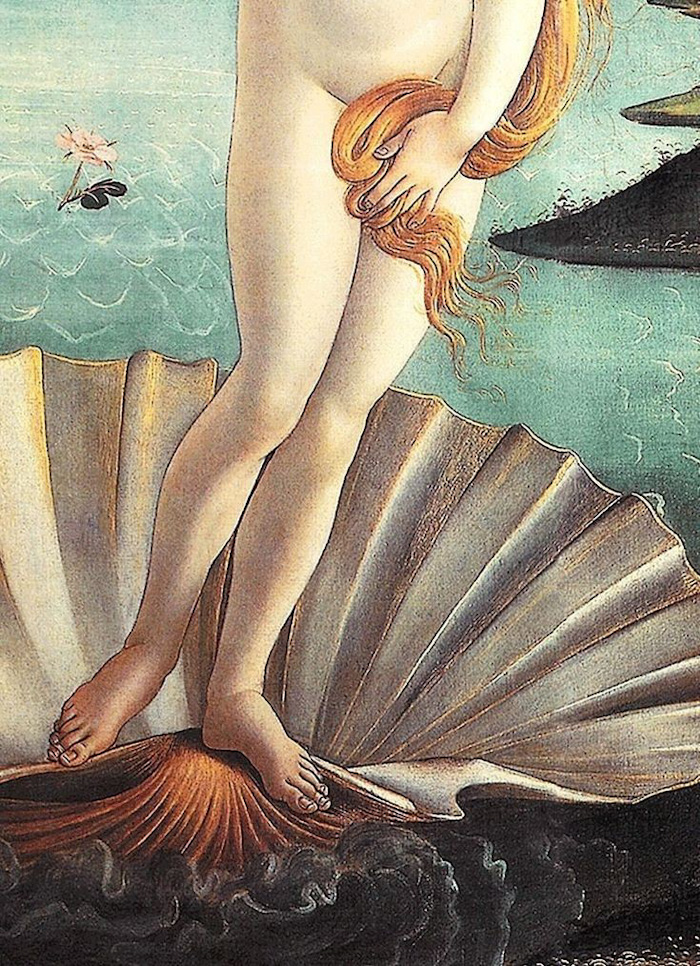 nacimiento venus botticelli 5