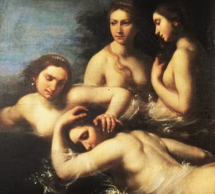 hylas ninfas fiurini