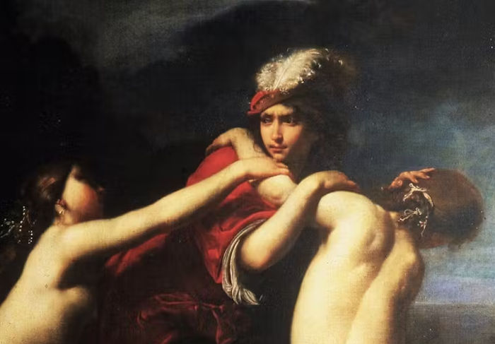 hylas ninfas fiurini