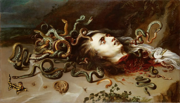 medusa4